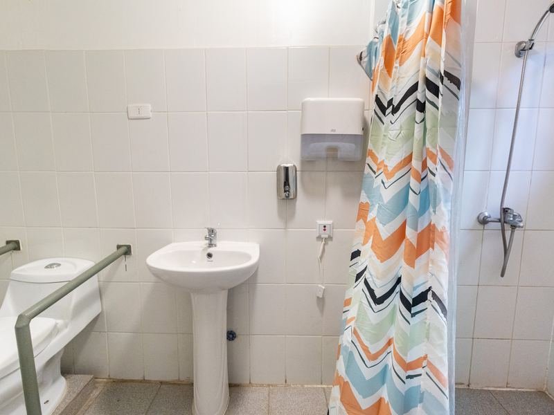 Baño adaptado con ducha, barras de apoyo y cortina.